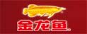 金龍魚